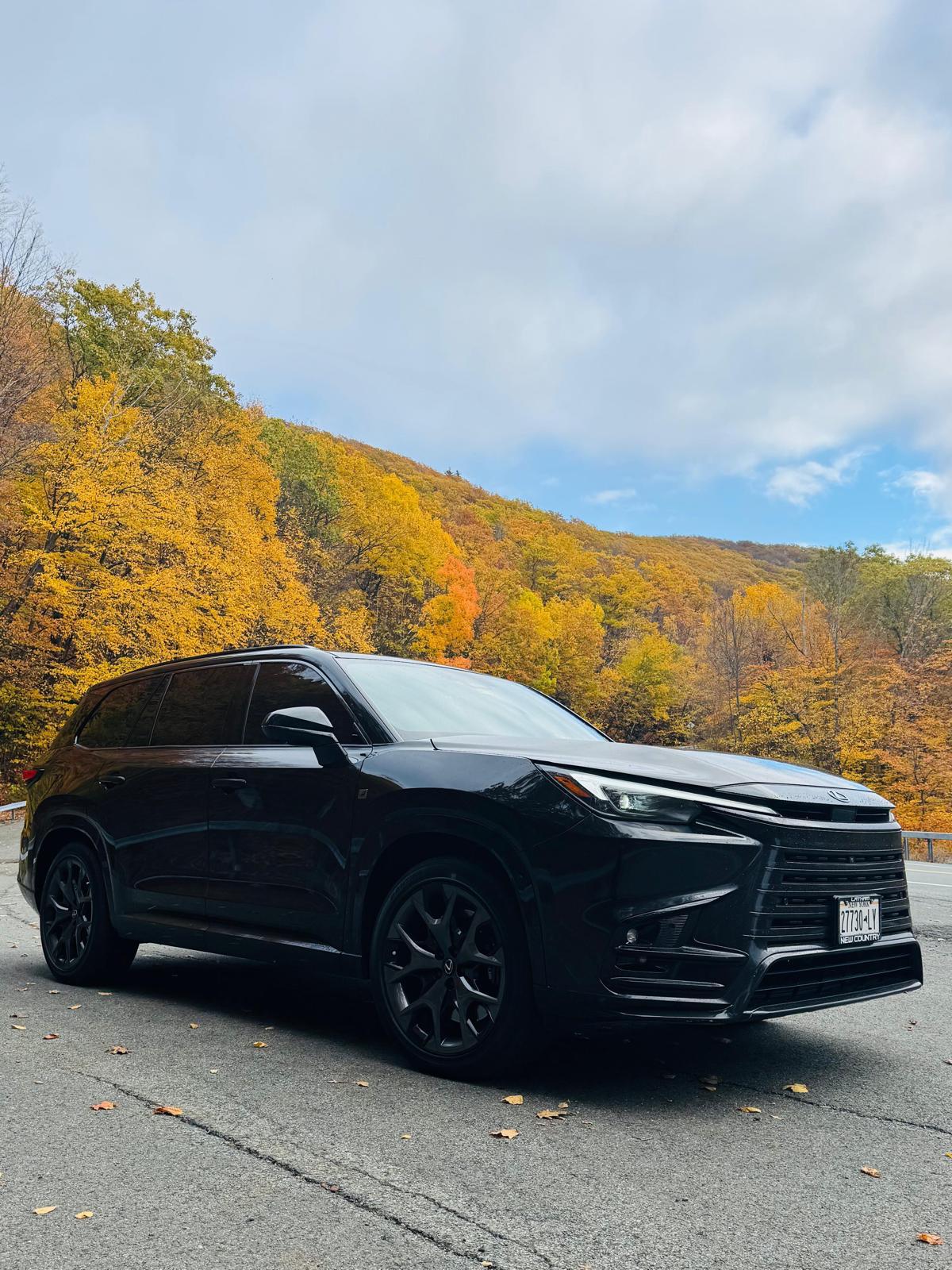 Sunny Express transportation photo 4